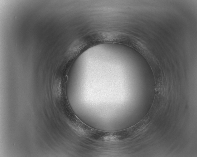 X0000060550216200511101546