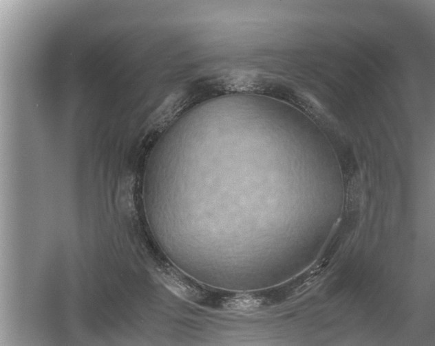 X0000060550217200511101546