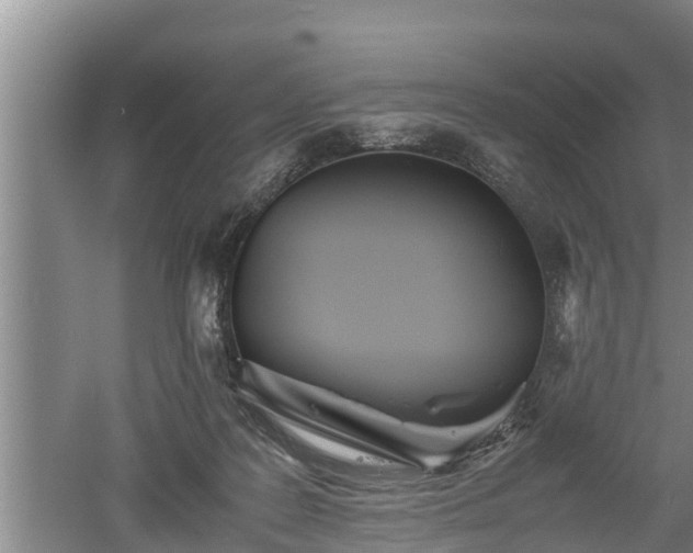 X0000060550219200511101546