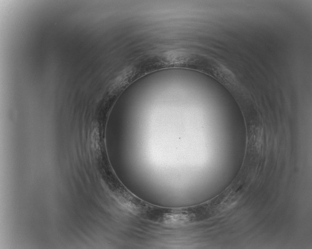 X0000060550220200511101546