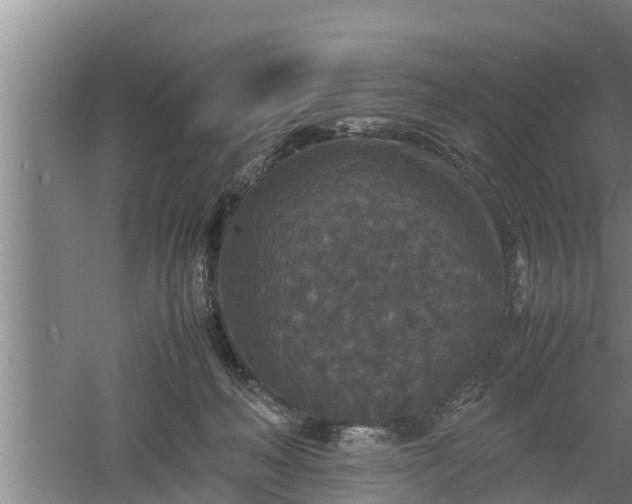 X0000060550222200511101546