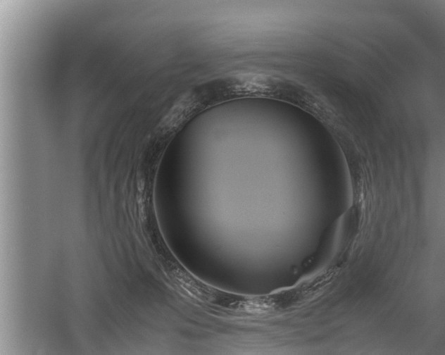 X0000060550223200511101546