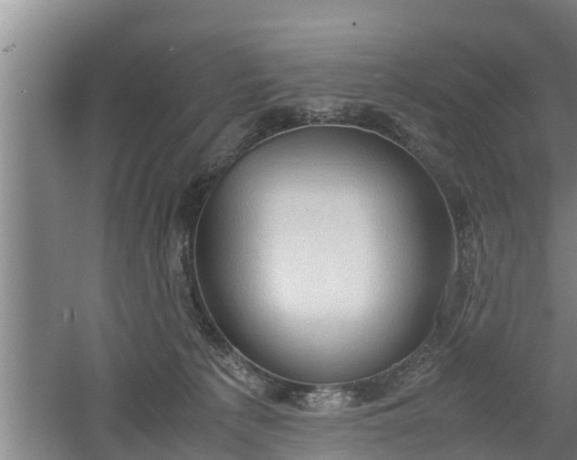 X0000060550225200511101546