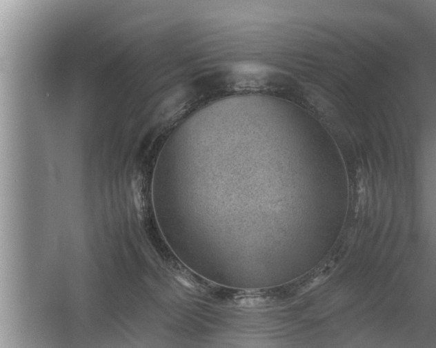 X0000060550228200511101545