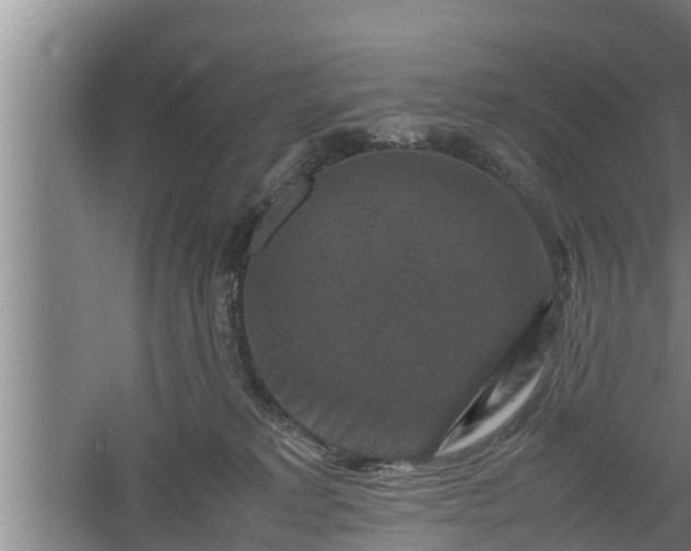 X0000060550229200511101545