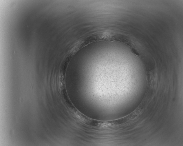 X0000060550230200511101545