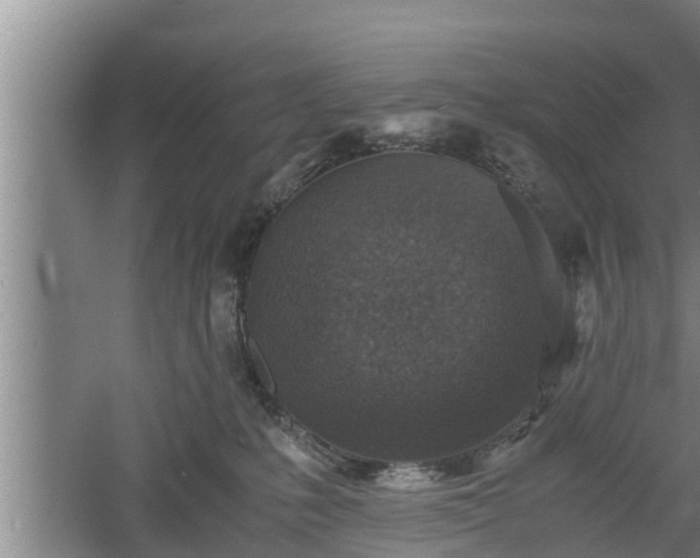 X0000060550231200511101545