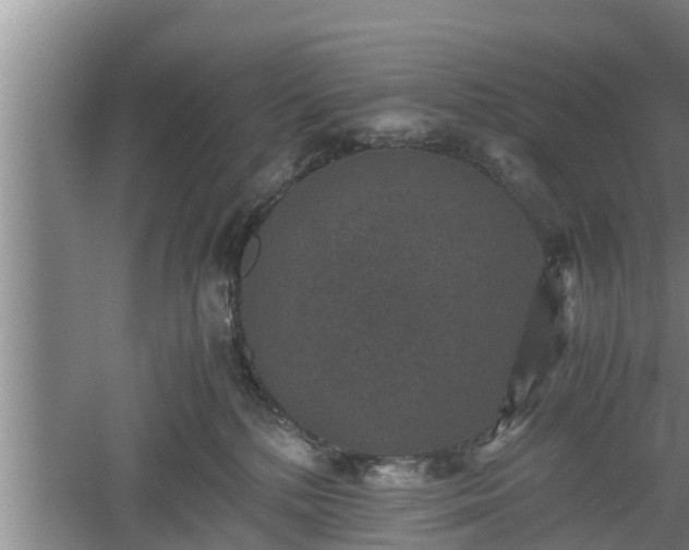 X0000060550232200511101545