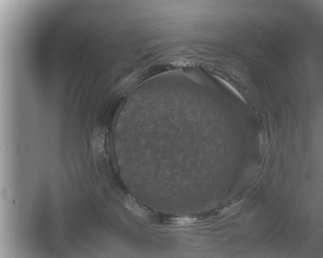 X0000060550233200511101545