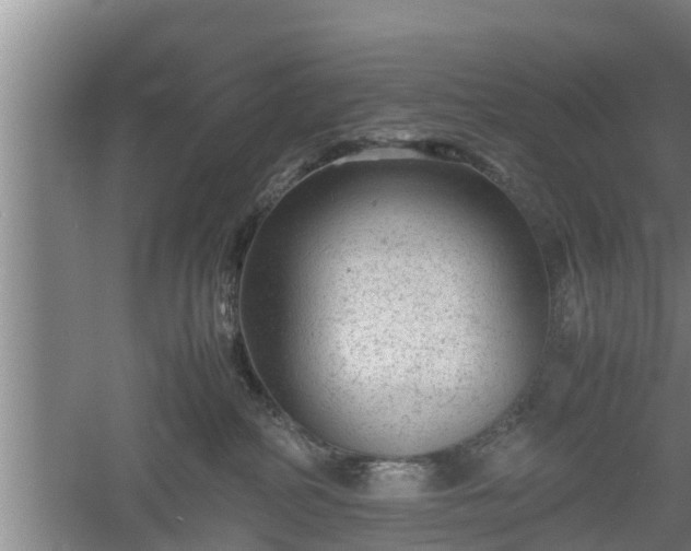 X0000060550234200511101545