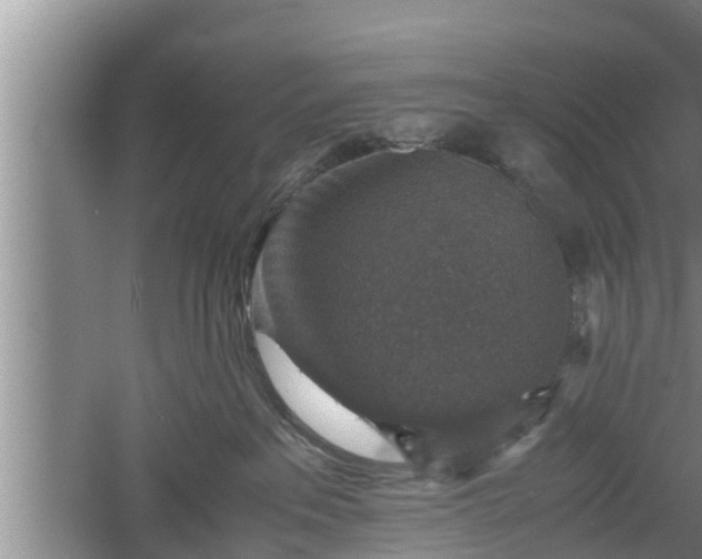 X0000060550237200511101545