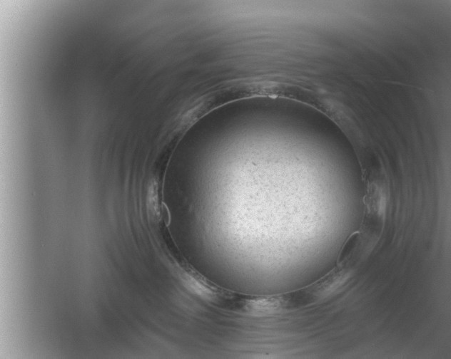 X0000060550238200511101545