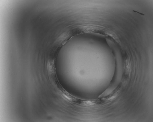 X0000060550239200511101545