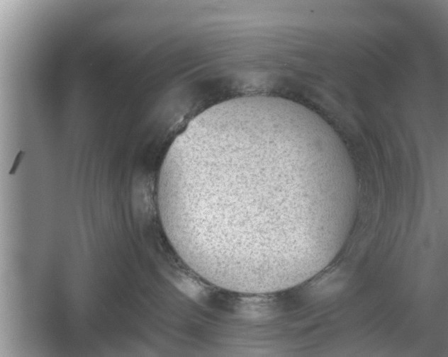 X0000060550240200511101545