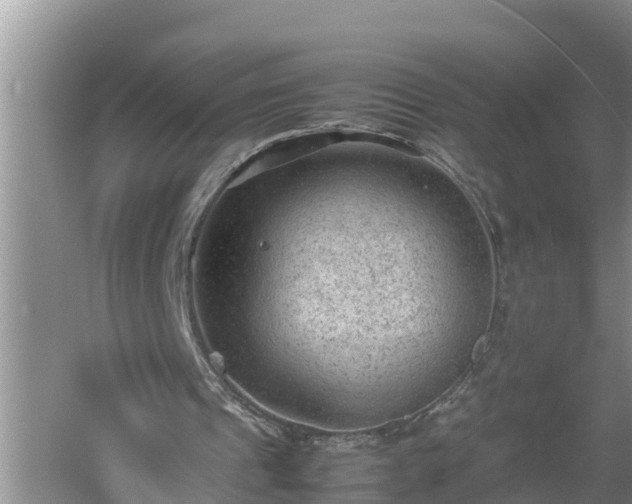 X0000060550241200511101544