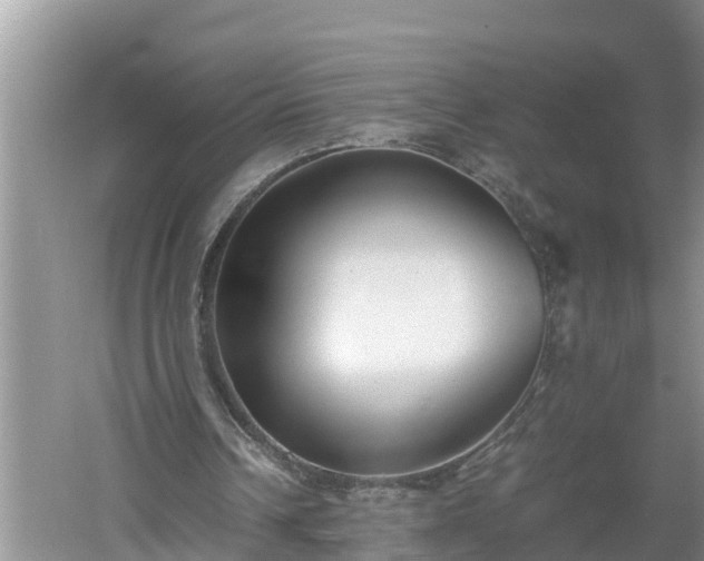 X0000060550242200511101544