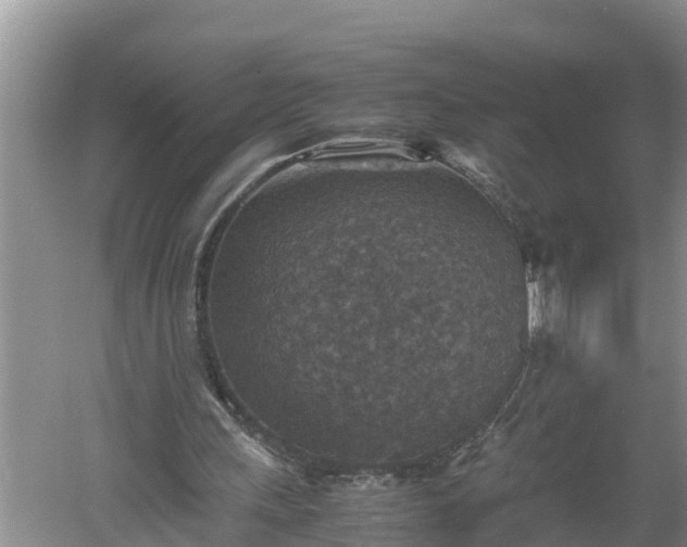 X0000060550243200511101544