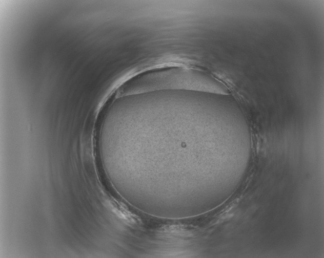 X0000060550244200511101544