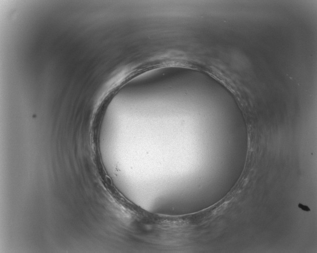 X0000060550245200511101545