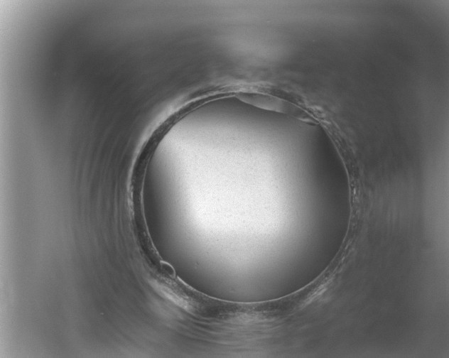 X0000060550246200511101545