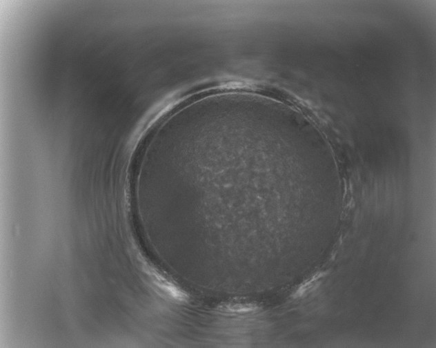 X0000060550247200511101545