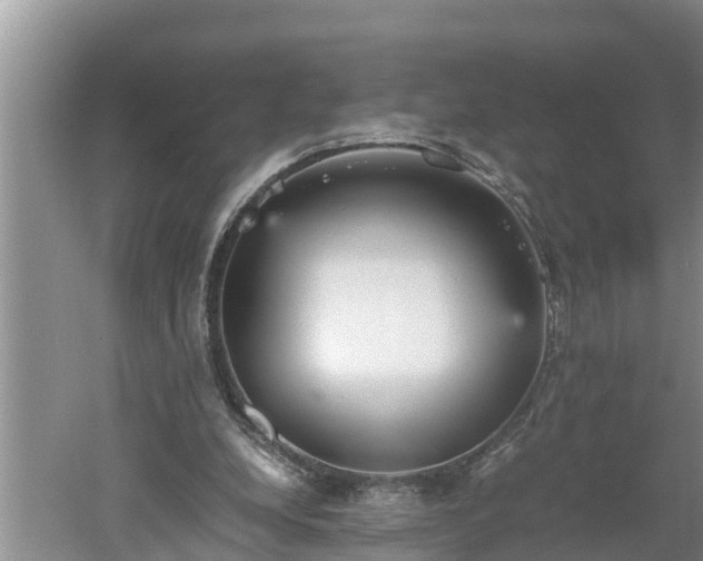 X0000060550248200511101545