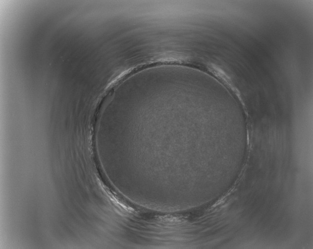 X0000060550249200511101545