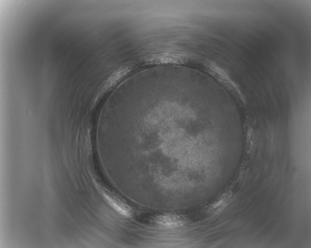 X0000060550250200511101545