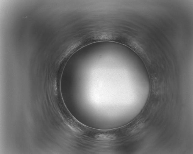 X0000060550251200511101545