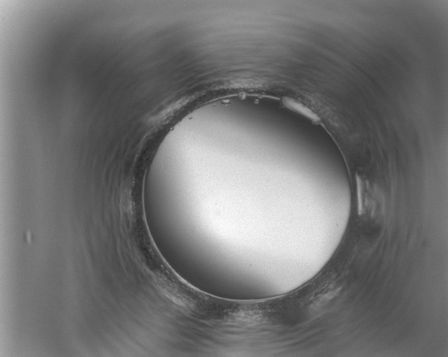 X0000060550252200511101545