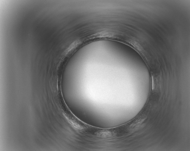 X0000060550253200511101545