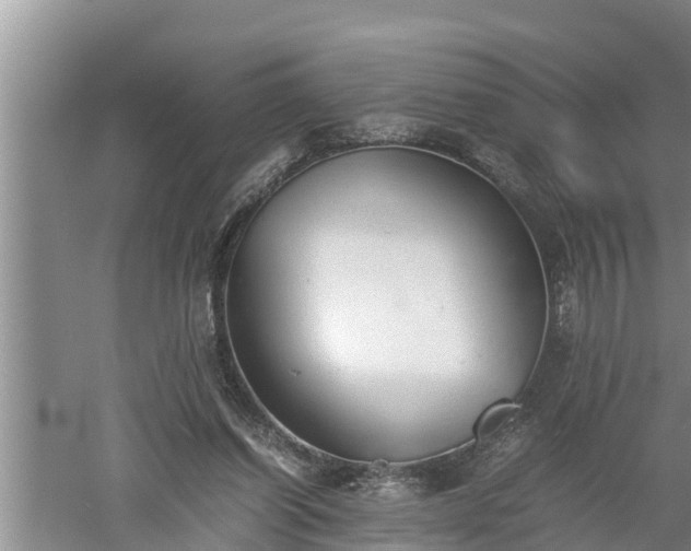 X0000060550254200511101545