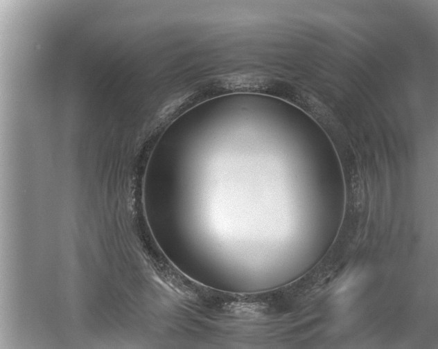 X0000060550255200511101545