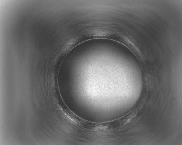 X0000060550257200511101545