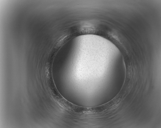 X0000060550259200511101545