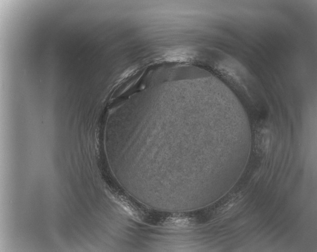 X0000060550260200511101545