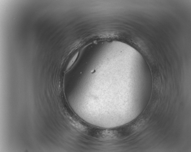 X0000060550261200511101545