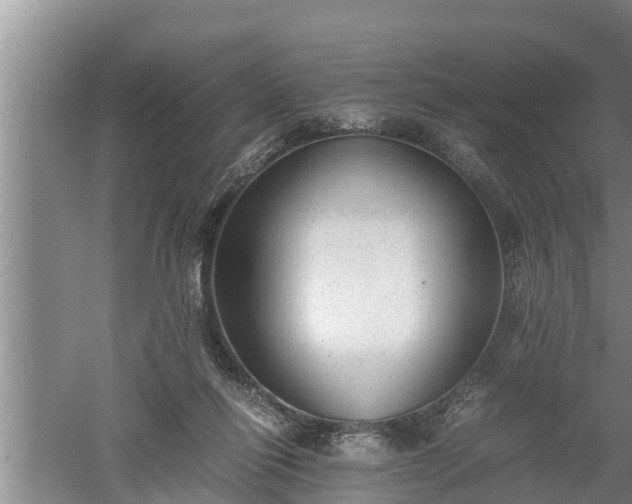 X0000060550262200511101545