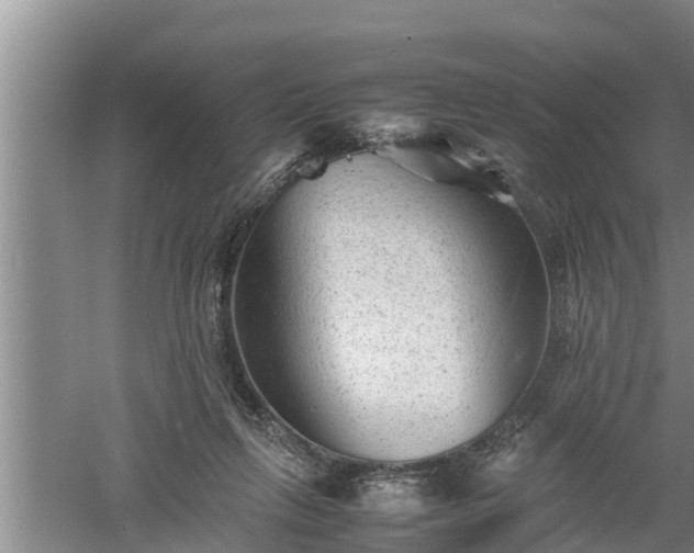 X0000060550263200511101545