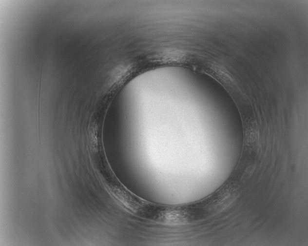 X0000060550264200511101545