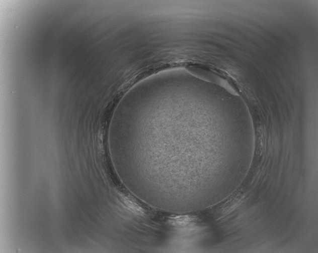 X0000060550269200511101545