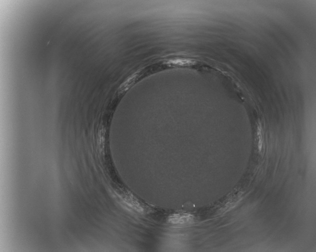 X0000060550271200511101545