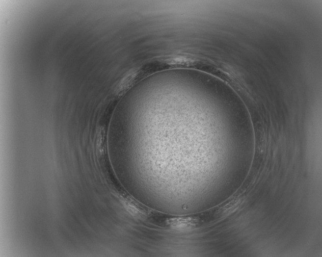 X0000060550273200511101545