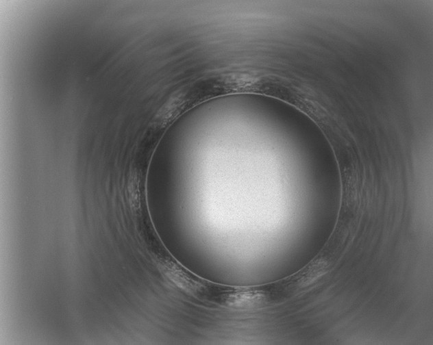 X0000060550274200511101545