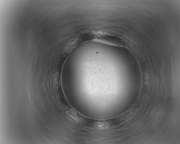 X0000060550275200511101545