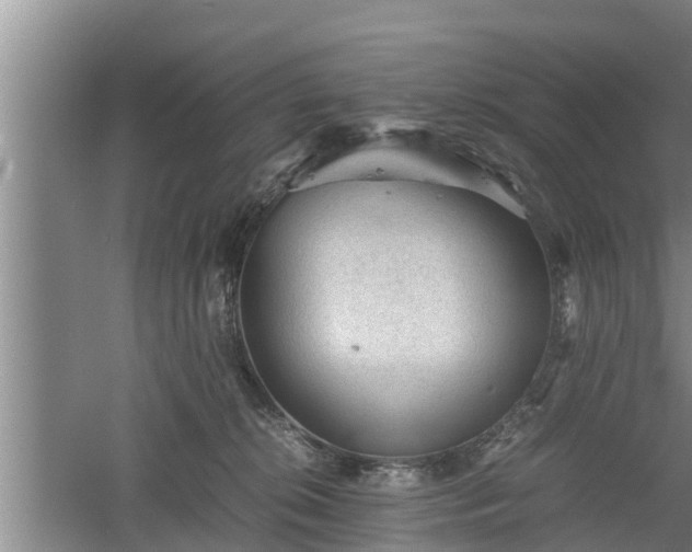 X0000060550276200511101545