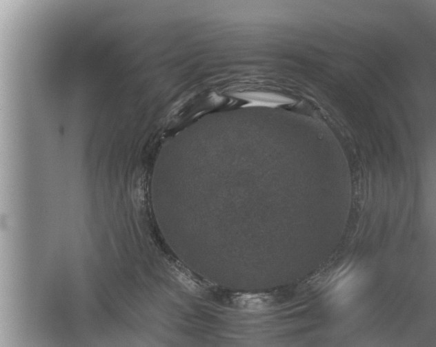 X0000060550277200511101545