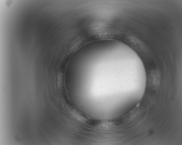 X0000060550278200511101545