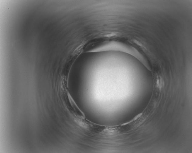 X0000060550280200511101545