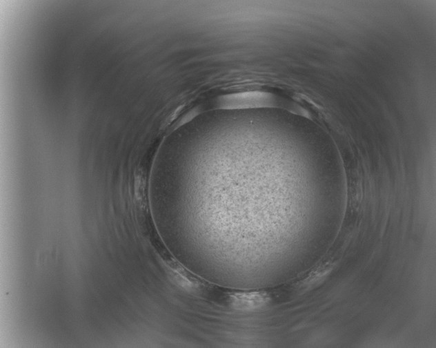 X0000060550281200511101545